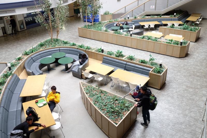 dự hội thảo về trường đại học